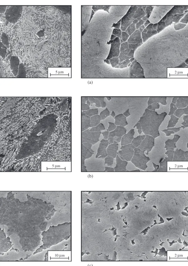 Figure 7. Microstructural evolution during the transformation of pearlite into austenite
