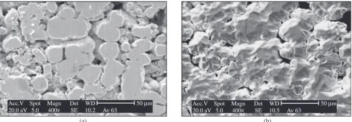 Figure 3. a) Micrographs of samples surface in the green state; b) sintered in a conventional furnace.