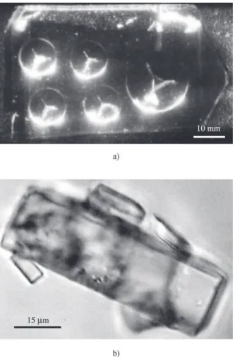 Figure 2a shows the seed-plate containing partially filled holes of 12 and 20 mm in diameter