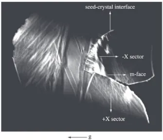 Figure 5 shows the darkening patterns resultant from γ- γ-ray irradiation of Z-cut plates