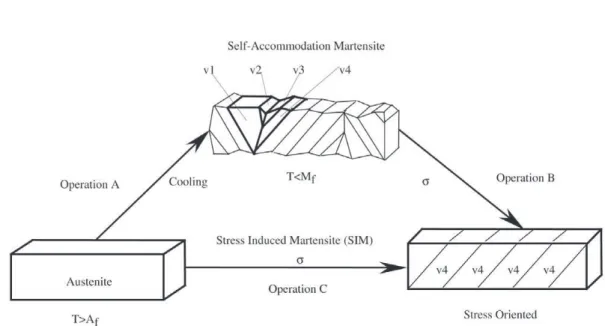 Figure 6. Schema of the two possible ways to obtain martensite single crystal 16 .Table 2