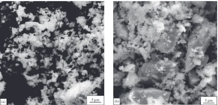 Figure 2. Scanning electron microscopy of the powders synthesized by: a) combustion reaction; b) oxide mixture (1500×).