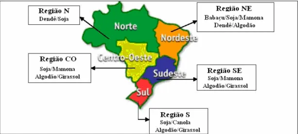 Figura 1.2 – Produção de Oleaginosas no Brasil 