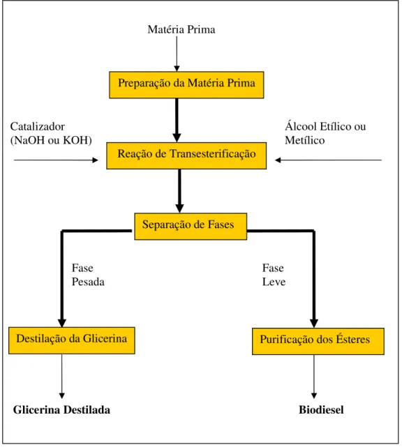 Figura 1.4 – Processo produtivo de biodiesel por transesterificação    Fonte: Câmara dos Deputados