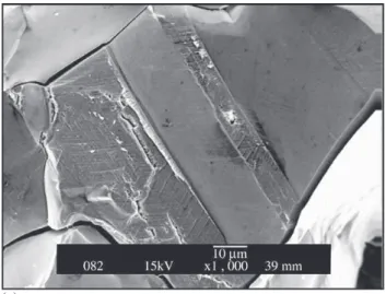 Figure 5. Oxide-free crack tip area with (arrow) in the fracture surface of an IN718 bending specimen loaded under fixed  displace-ment at 650 °C (Ref