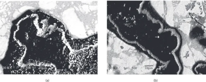 Figure 2. Scanning electron micrographies of Nb rich layer: a) before heating cycle; b) after heating cycle.