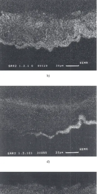 Figure 8. SEM image and elemental maps of scale on 310 stainless steel after 17,000 h exposure in syngas cooler.