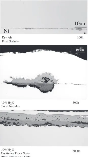 Figure 2. Three steps of oxide scale formation starting with small nodules until thick continuous oxide layer formation for P91 at