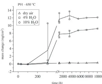 Figure 4. Results of mass change measurement as a function of time for steel P91 at 650 °C in different environments.
