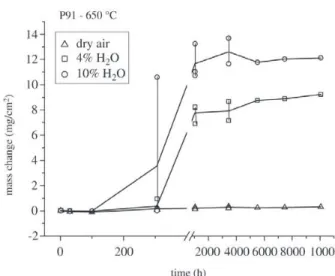 Figure 4. Results of mass change measurement as a function of time for steel P91 at 650 °C in different environments.