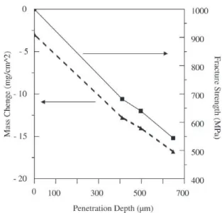 Figure 7. Linescan by Micro Raman Spectroscopy showing rela- rela-tive luminscence intensities of the zones depicted in Fig