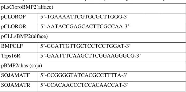 Tabela 3: Sequências dos “primers” utilizados para detecção de transgenes em alface e soja 
