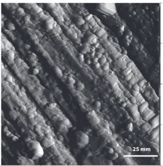 Figure 3. AFM image of electro-spark deposited coating surface on stainless steel, showing nano-crystal structure produced by rapid solidification.