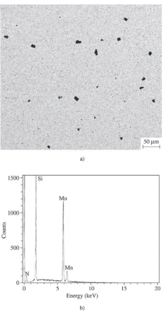 Figure 6. SEM cross-section of the G11 steel sample subjected to the real condition at 650 °C , with different magnifications