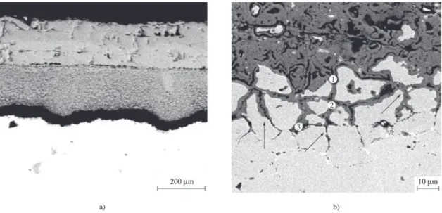 Figure 8a shows the general view of the corroded layer and substrate. One can observe clearly the presence of two distinct layers and the detachment of the corroded layer from the substrate