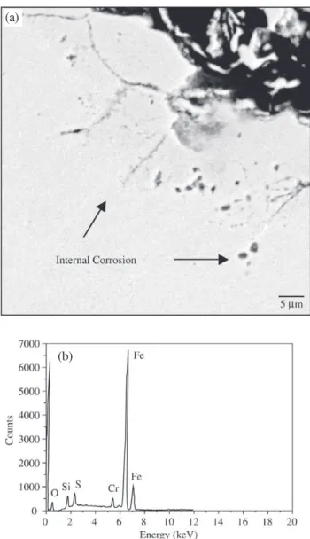 Figure 3. a) Cross-section of aluminum coated steel corroded in a vertical furnace, under simulated conditions, for 200h; b) and c) EDSmapping of oxygen and sulfur, respectively.
