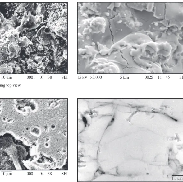 Figure 7. Spherical pores on Zirconia coating, MEV – SEI. Figure 8. Micro cracks on Zirconia coating, MEV – SEI.
