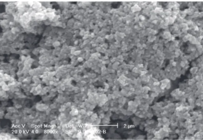Figure 1. SEM micrograph of  La 0 . 60 Sr 0.40 MnO 3  powders after syn- syn-thesis and calcination at 1200 °C.