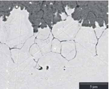 Figure 3. Intergranular oxidation in 2.25Cr1Mo steel with grain size of 4 µm  after exposure to laboratory air for 72 hours at 550 °C