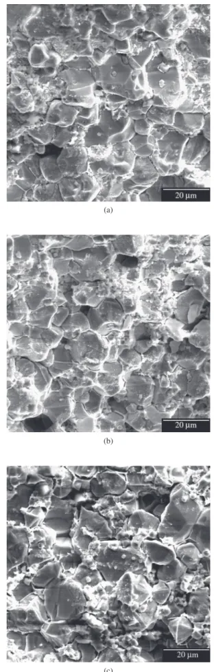 Figure  1. Average  Grain  Size  and  Relative  Density  (in  percentage  of  the  theoretical density) of ZPNC varistor ceramics as a function of the sintering  temperature.
