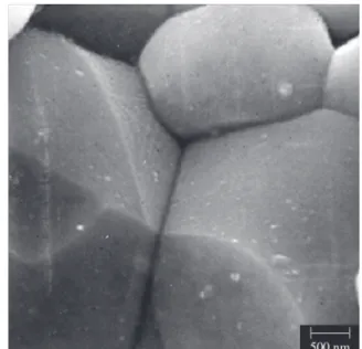 Figure  4.  a)  SEM  micrograph  of  the  polished  and  etched  surface  of  the  ZPNC-2 ceramic sintered at 1300 °C; and b) X-Z-marked region in detail.