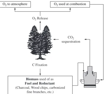 Figure 6. Cycle of CO 2  sequestration. 