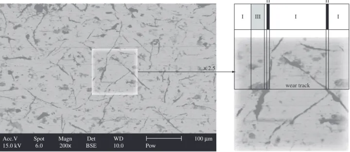 Figure 3. Zones of the wear track of the automotive grey cast iron disc: metallic structure (zone I), graphite flake (zone II), pit (zone III).