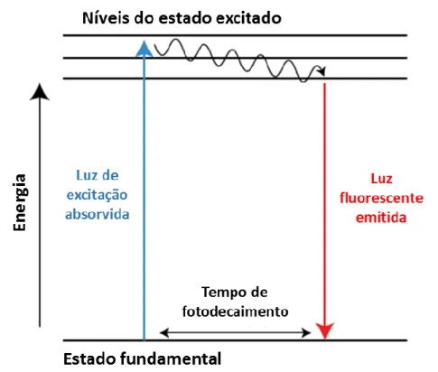 Figura  1:  Diagrama  de  energia  de  fluorescência  de  Jablonski.  (“ThermoFisher  Scientific - Fluorescence Fundamentals”, Adaptado) 