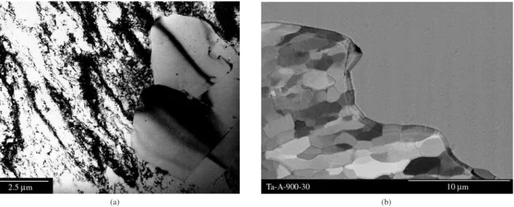 Figure 7. Reaction fronts (high angle boundaries) migrating during recrystallization: a) transmission electron micrograph of an austenitic stainless steel contain- contain-ing 15% Cr and 15% Ni, cold worked to a 50% area reduction and annealed at 800 °C fo