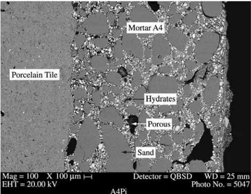 Figure 7. Backscattered electron micrograph of the polished surface. showing  the interface between porcelain tile and commercial mortar.