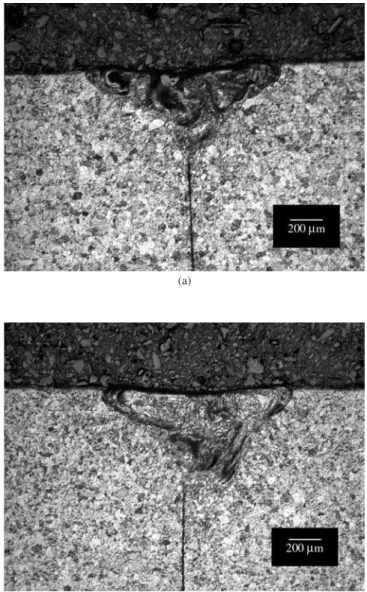 Figure 8. Detail of TiN dendrites near to the materials surface.