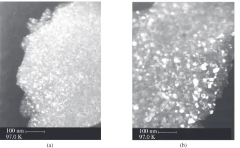 Figure 4a contains a TEM image of xerogels treated at 500 °C. 