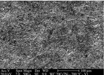 Figure 15. Micrograph of WC 20Cr7Ni coating surface after erosion-oxida- erosion-oxida-tion test at 800 °C.