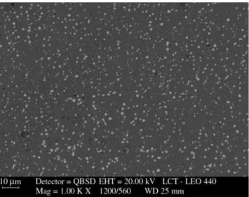 Figure 2. Scanning electron micrograph of Sinter 23 austenitized at 1160 °C  and tempered at 560 °C.