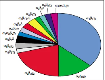 Figura  5.  Gráfico  que  ilustra  a  abundância  aproximada  dos  vários  subtipos  de  recetor  GABA A   existentes  no  cérebro  de  mamíferos