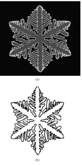 Table 3 summarizes the values of the model’s parameters used  here to simulate a nickel dendrite, while Table 4 lists the values of  the material’s properties.