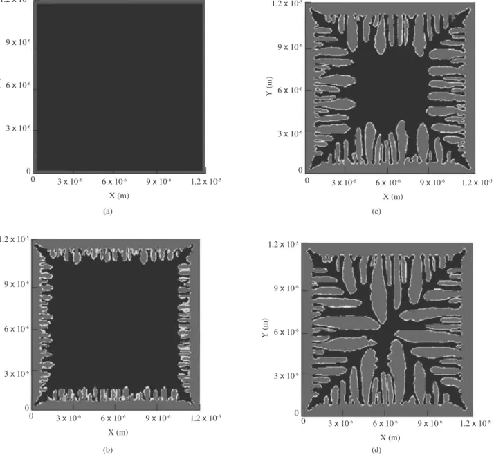 Figure  6a  shows  the  solidification  of  initially  supercooled  (DT = 260  K)  pure  nickel  with  adiabatic  boundary  conditions  and  zero flux for φ, while Figure 6b shows the thermal field
