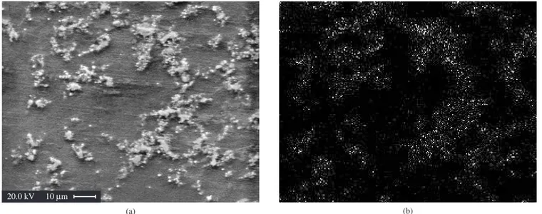 Figure 3. SEM analysis of magnesium matrix composites a) pattern; and b) Tik a  area scanning.