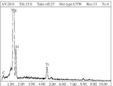 Figure 4. EDX analysis of magnesium matrix composites.