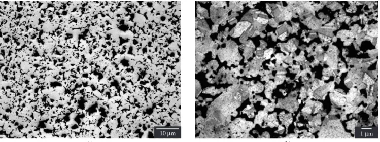 Figure 1. Longitudinal sections of sintered AISI 304L. a) not etched; and b) etched.