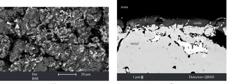 Figure 7. AISI 304L + Yb 2 O 3  oxidized for 200 hours at 900 °C. a) surface; and b) cross-section.