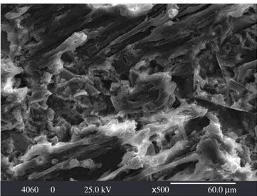 Figure 2. SEM image of composite bioactive glass/PHB 40/60 as prepared.