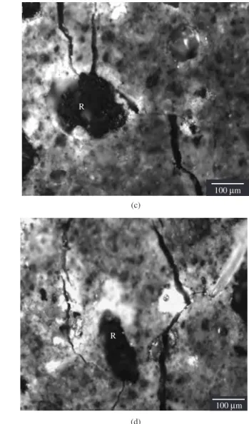 Figure 11. a) Crack being attracted by the treated rubber particle in IFC paste matrix; b-d) Various types of secondary cracks that form in close vicinity to  bridging sites in IFC paste specimens with treated rubber particles