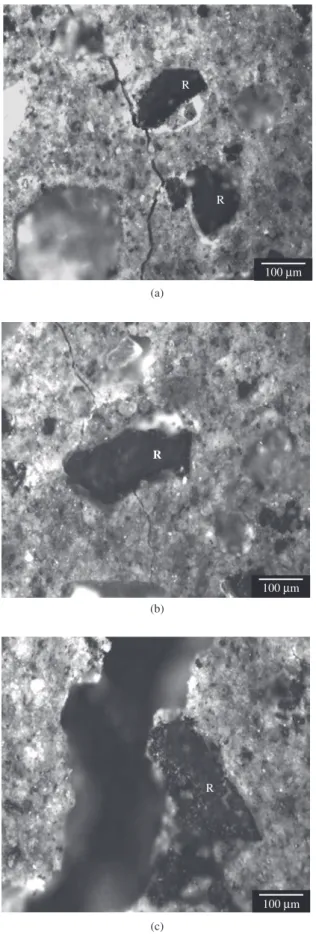 Figure 4. Crack/rubber interaction in ASTM type I/II Portland cement paste  specimens with untreated rubber particles