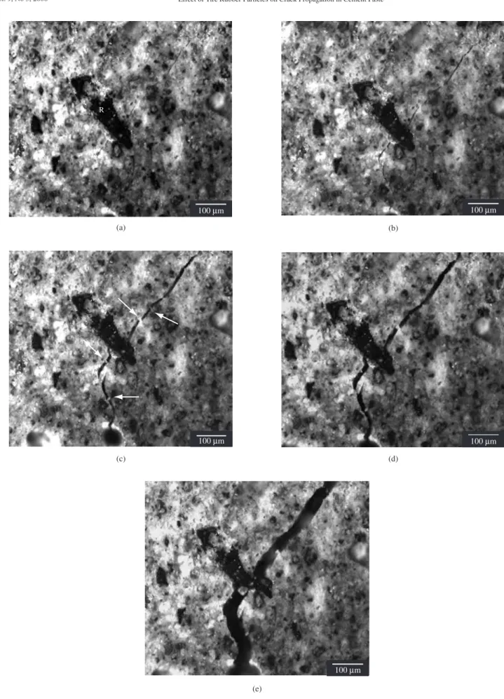 Figure 8. Crack/rubber interaction in IFC paste specimens with untreated rubber particles at different applied load levels: a) bridging site in close vicinity to  the crack tip at 72% of ultimate load; b) bridging site at 85% of ultimate load; c) close to 