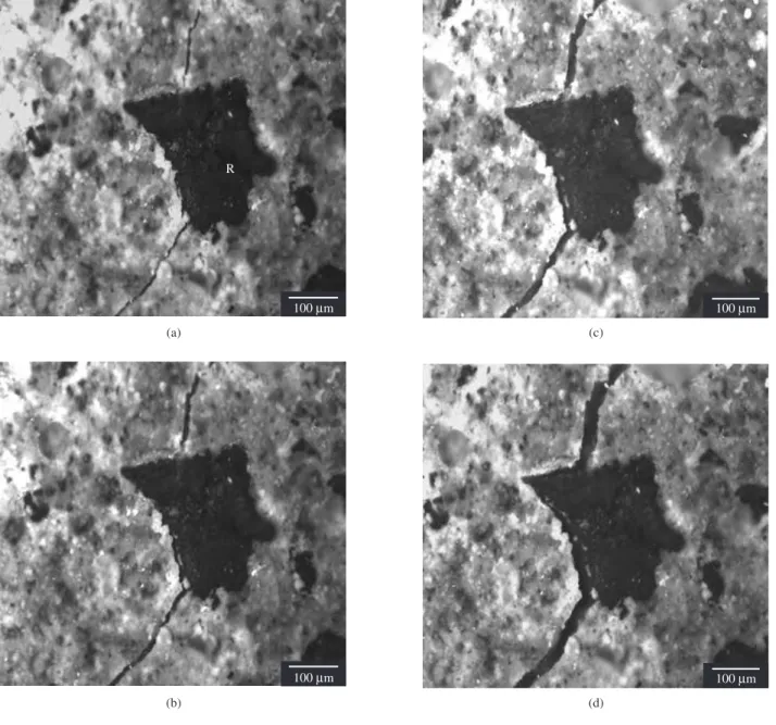 Figure 9. Crack/rubber interaction in IFC paste specimens with treated rubber particles at different applied load levels: a) pinning point at 40% of ultimate  load; b) pinning point at 50% of ultimate load; c) close to peak load; and d) after peak load
