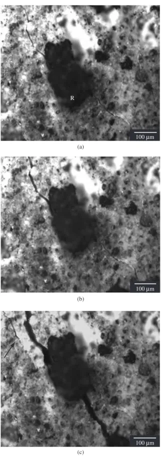 Figure 10.  Crack/rubber interaction in IFC paste specimens with treated rubber  particles at different applied load levels