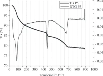 Figure  2. TG  curve  of  the  paste  without  polymer  and  10%  of  silica  fume P6.