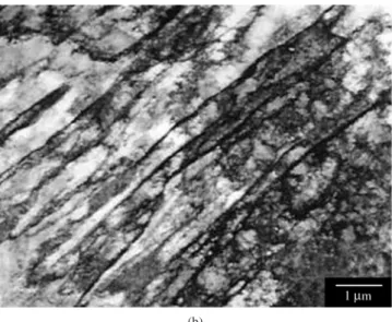 Figure 2. TEM of annealed and drawn steel (8° and 20% per pass): a) 1 pass; 