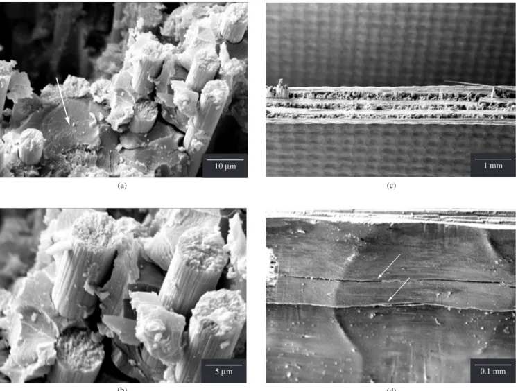 Figure 9. Micro-fractographs of carbon-epoxy laminates tensile tested following prior fatigue loading: a,b) Increased ultimate strength of tape cured at 120 °C  and 420 kPa (60 psi);  and c,d) Cyclic tenaciication of tape cured at 180 °C and 700 kPa (100 p